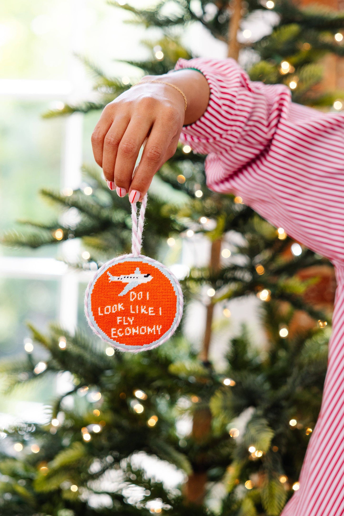 Needlepoint Ornament - Fly Economy