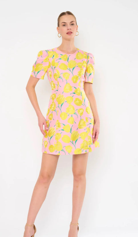 Tulip Day Mini Dress