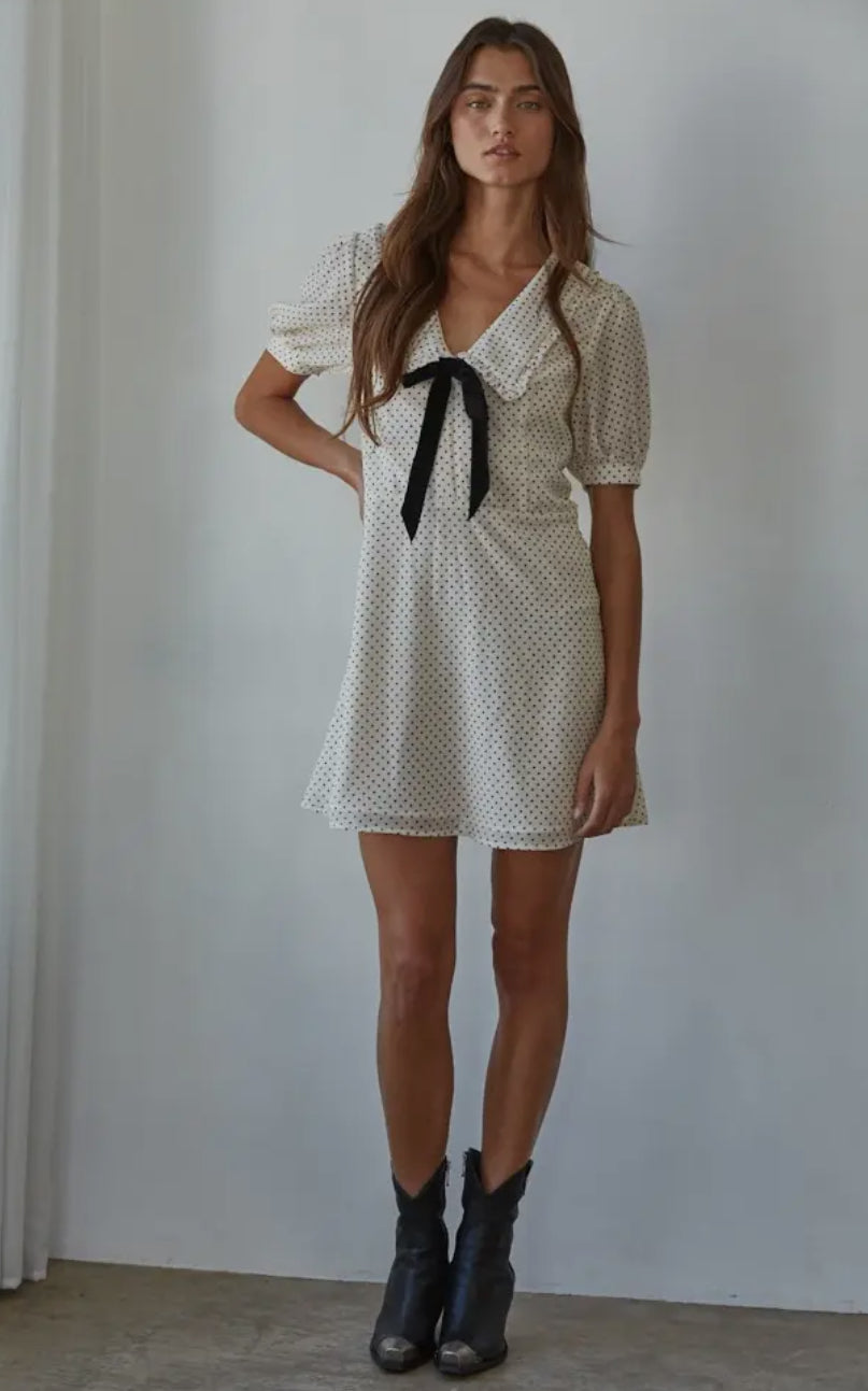 Swiss Dot Print Mini Dress