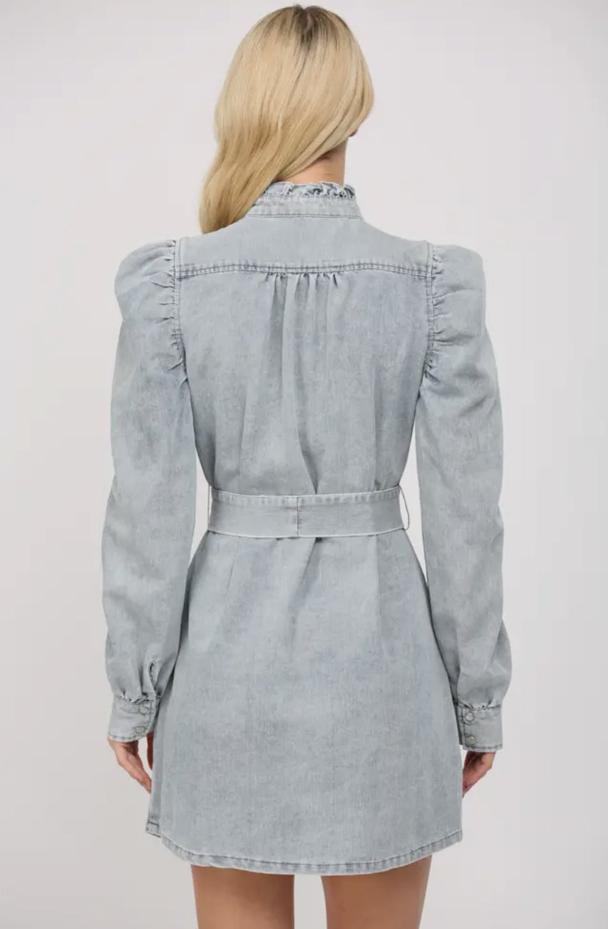 Ruffle Collar Denim Dress