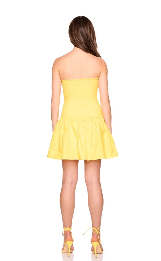 Sunshine Knit Poplin Tube Dress