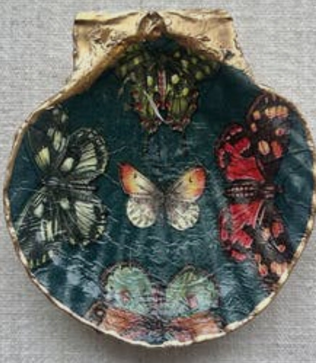 Dark Green Butterfly Clam Shell
