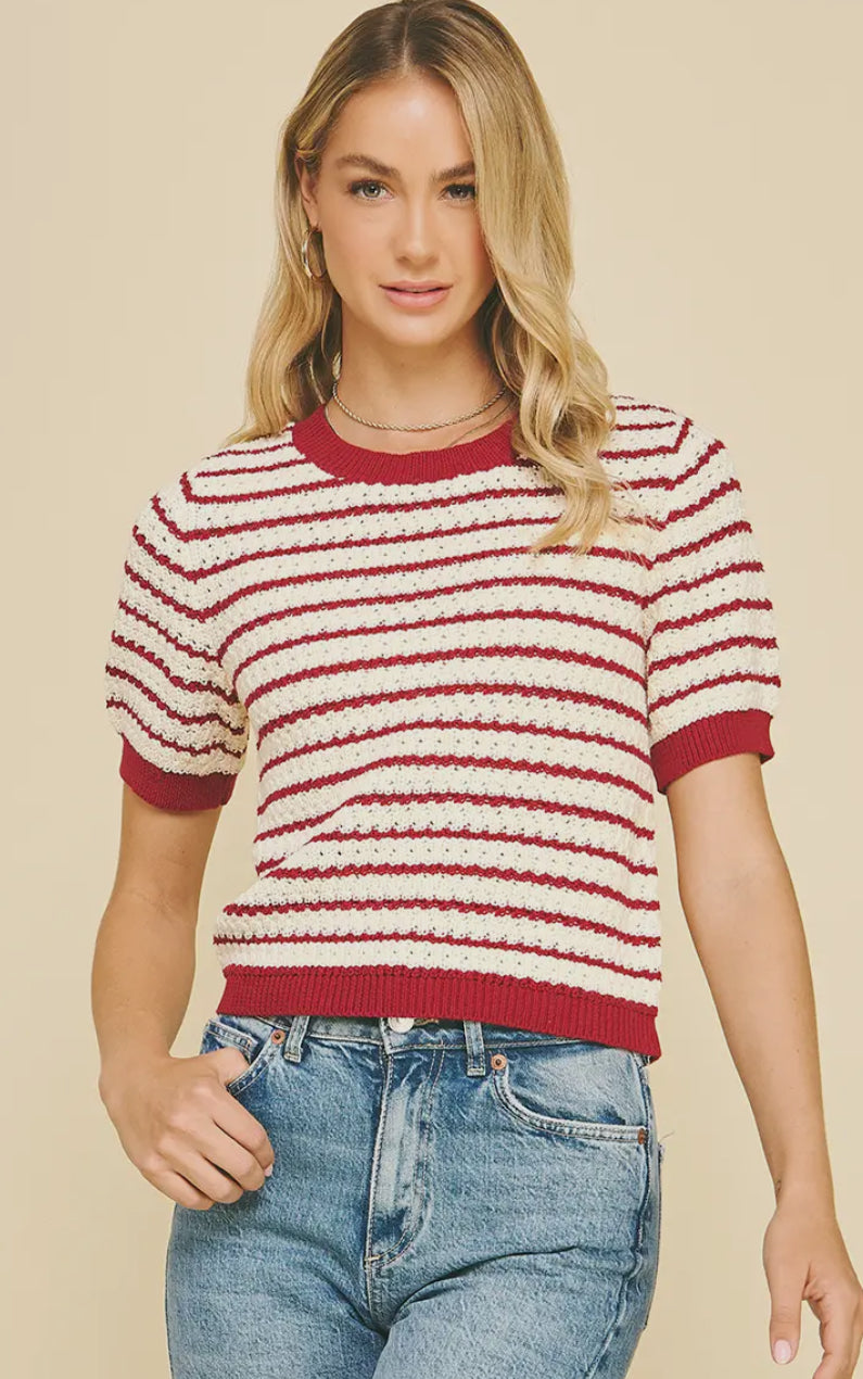 Stripe Textured Top in Maroon