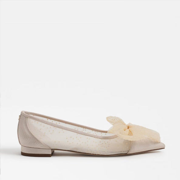 Darcey Pointed Toe Ballet Flat-10