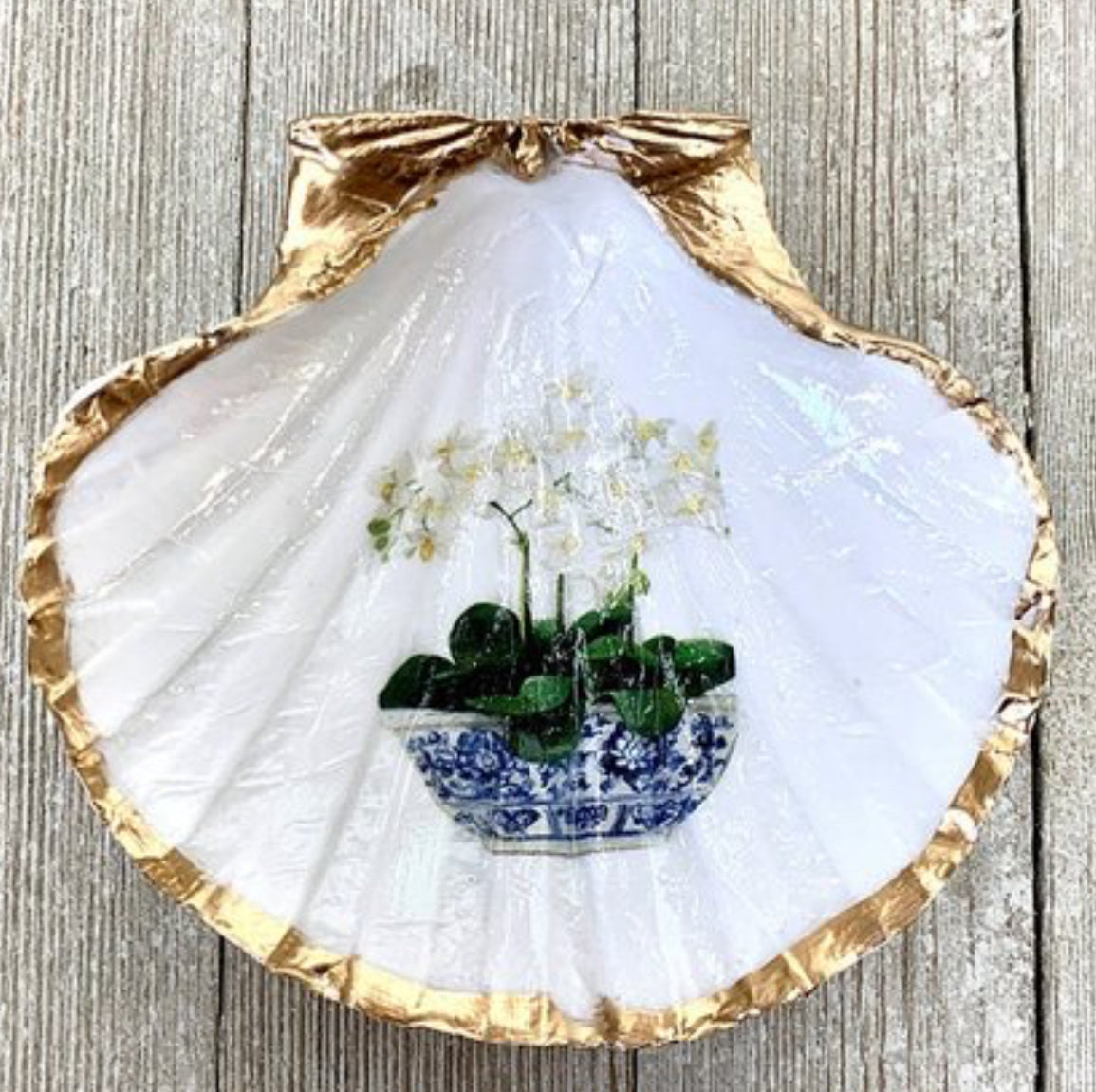 Orchid Clam Shell