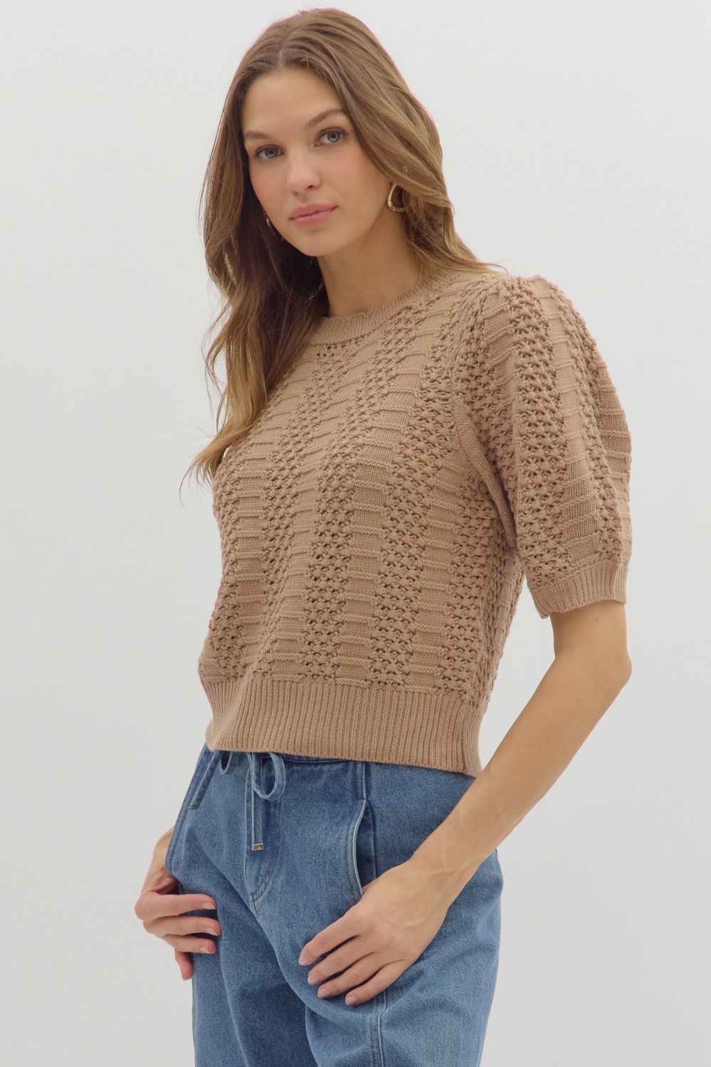 Short Sleeve Knit Taupe Sweater