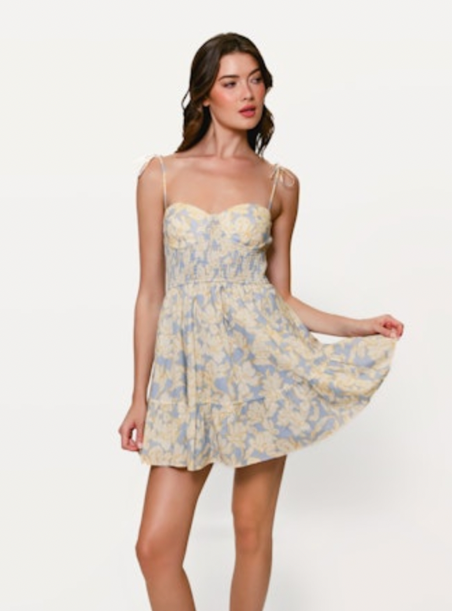 Valley Dress in Blue and White Floral