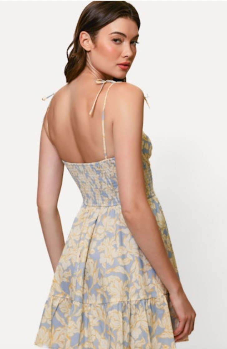 Valley Dress in Blue and White Floral