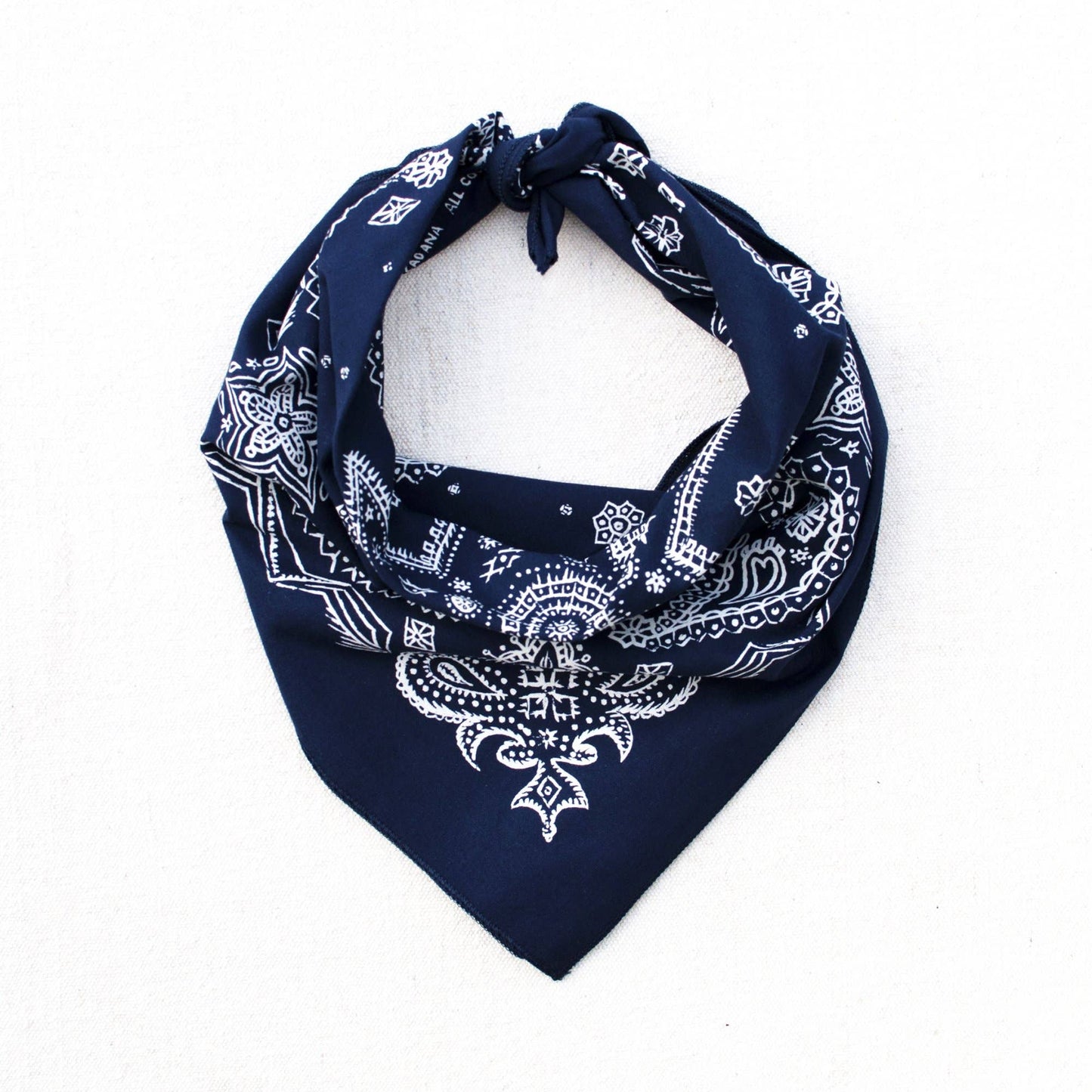 Navy Sketch Paisley Bandana