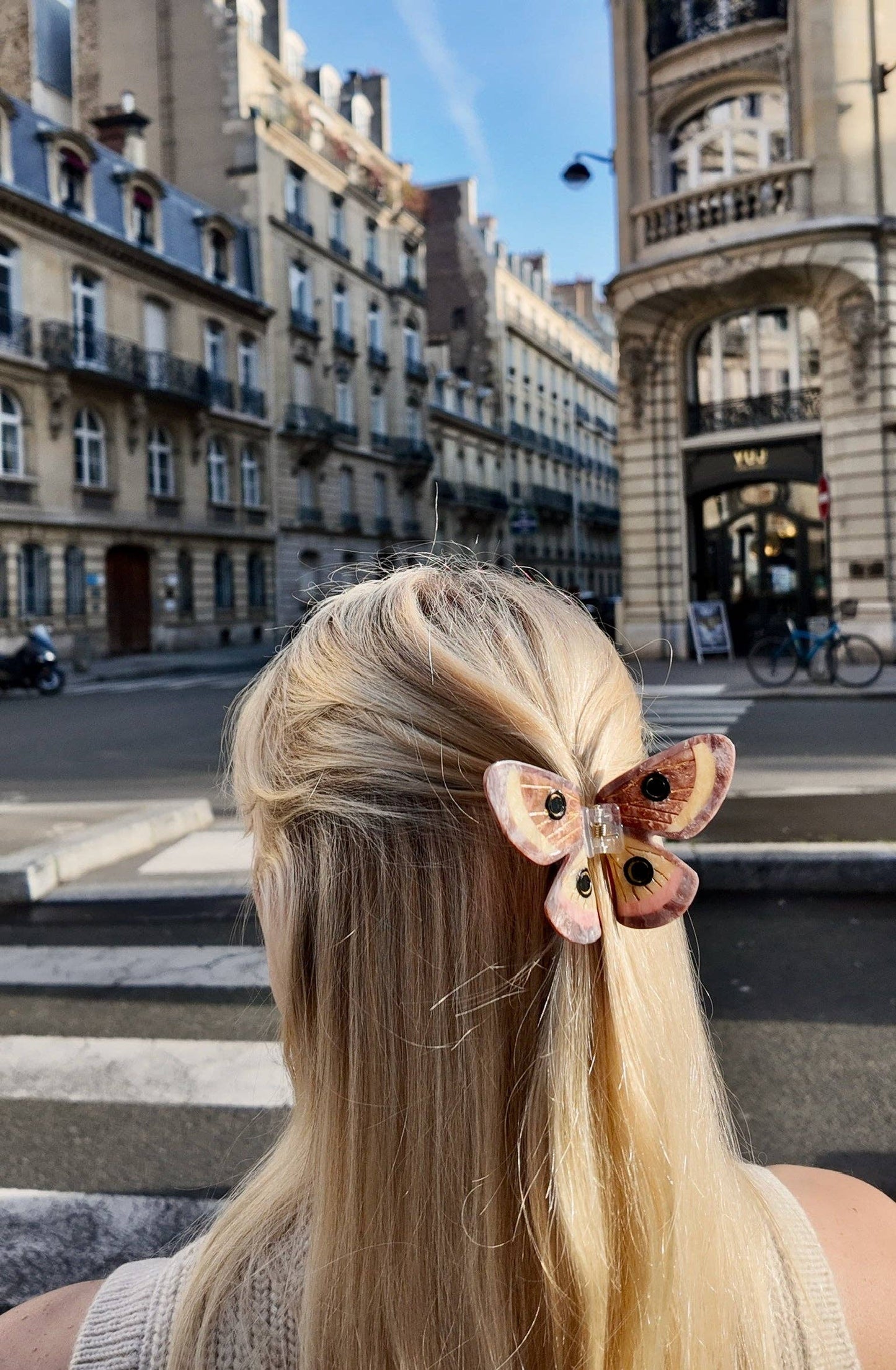 Hand-painted Emperor Silk Moth Claw Hair Clip