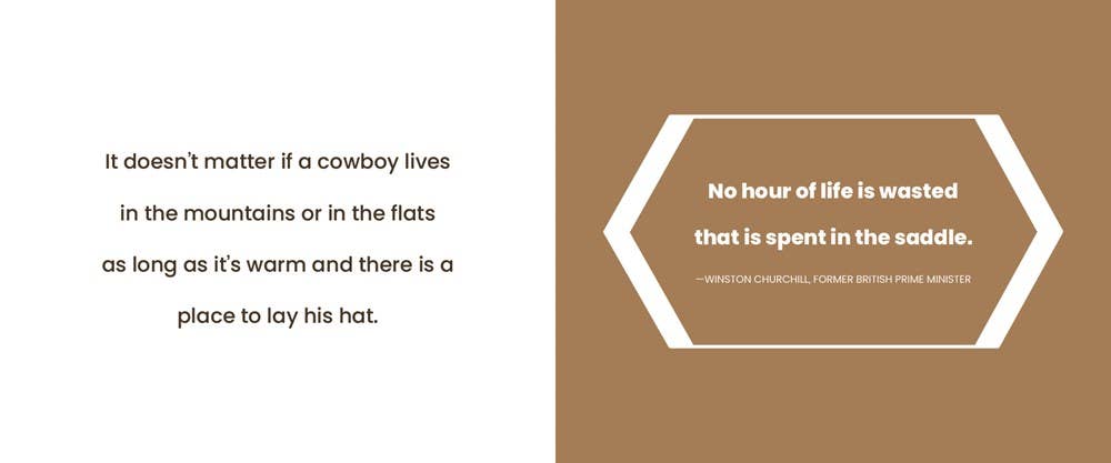 What I Know About Cowboys