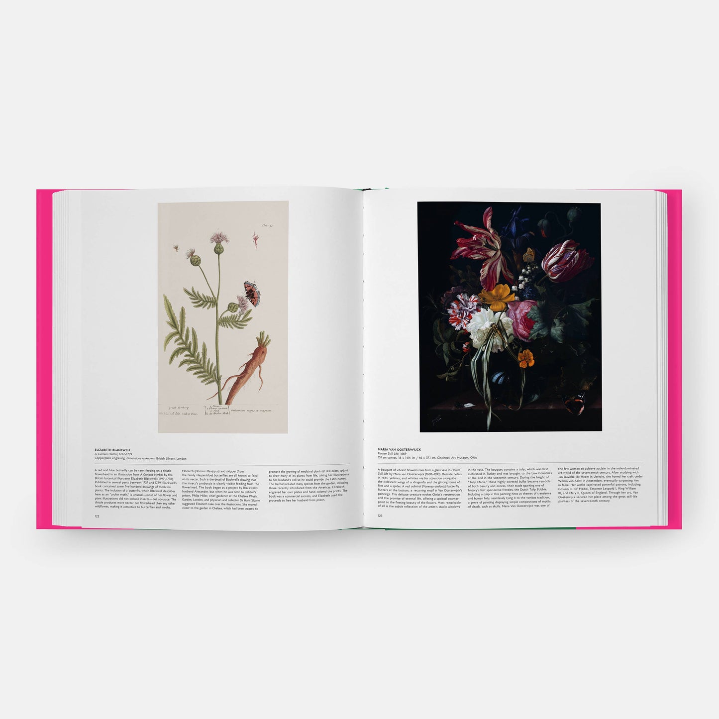 Butterfly: Exploring the World of Lepidoptera