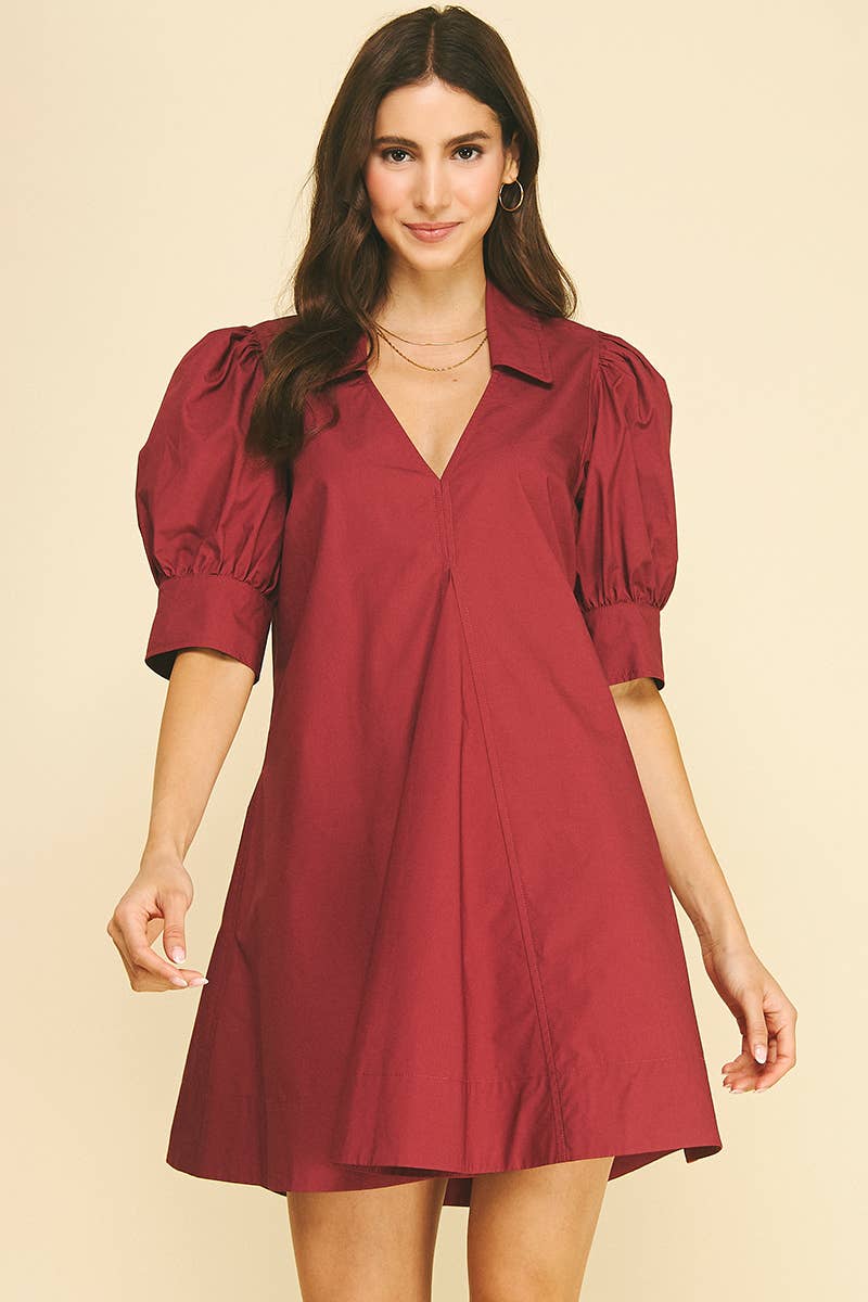 Puff Sleeve V Neck Mini Dress