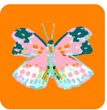 Summerfly Coasters Set of 4
