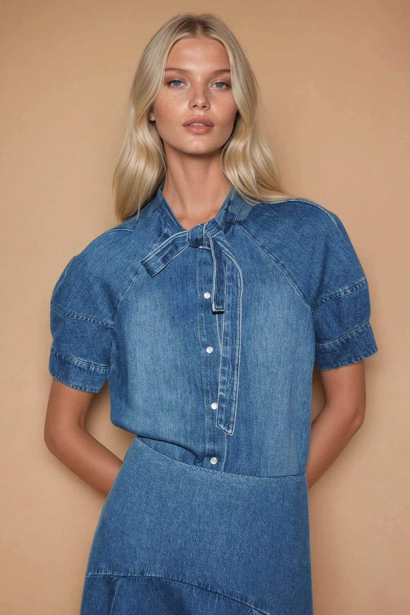 Tie Neck Denim Blouse