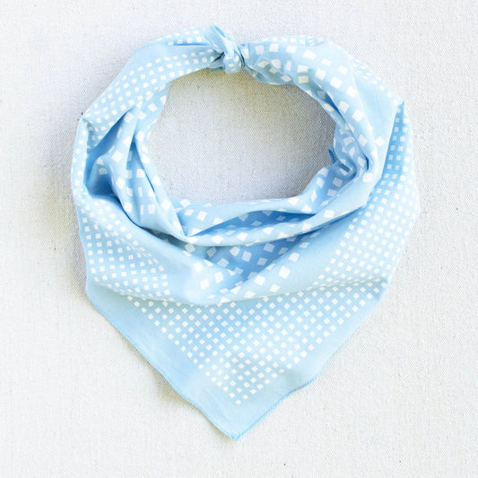 Light Blue Windowpane Bandana