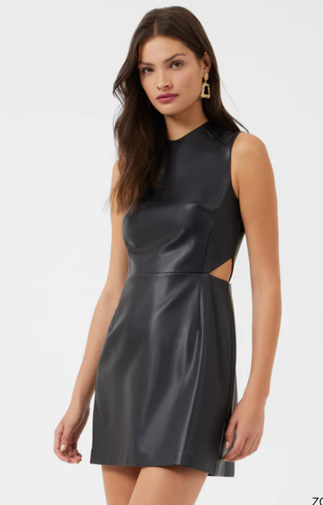 Crolenda Vegan Leather Dress
