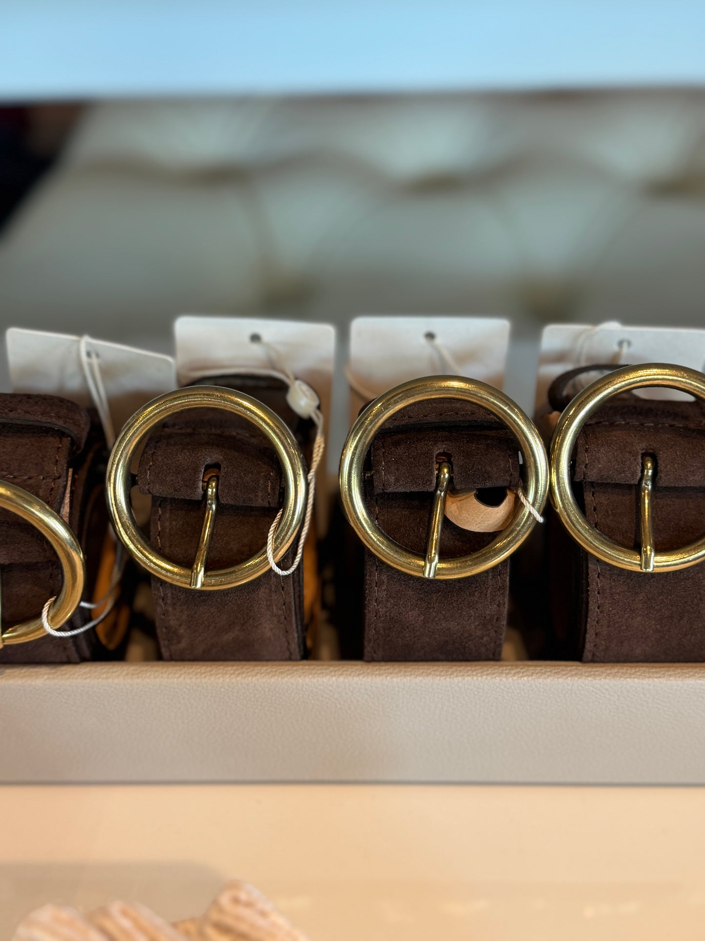 Matron Glacé Belt