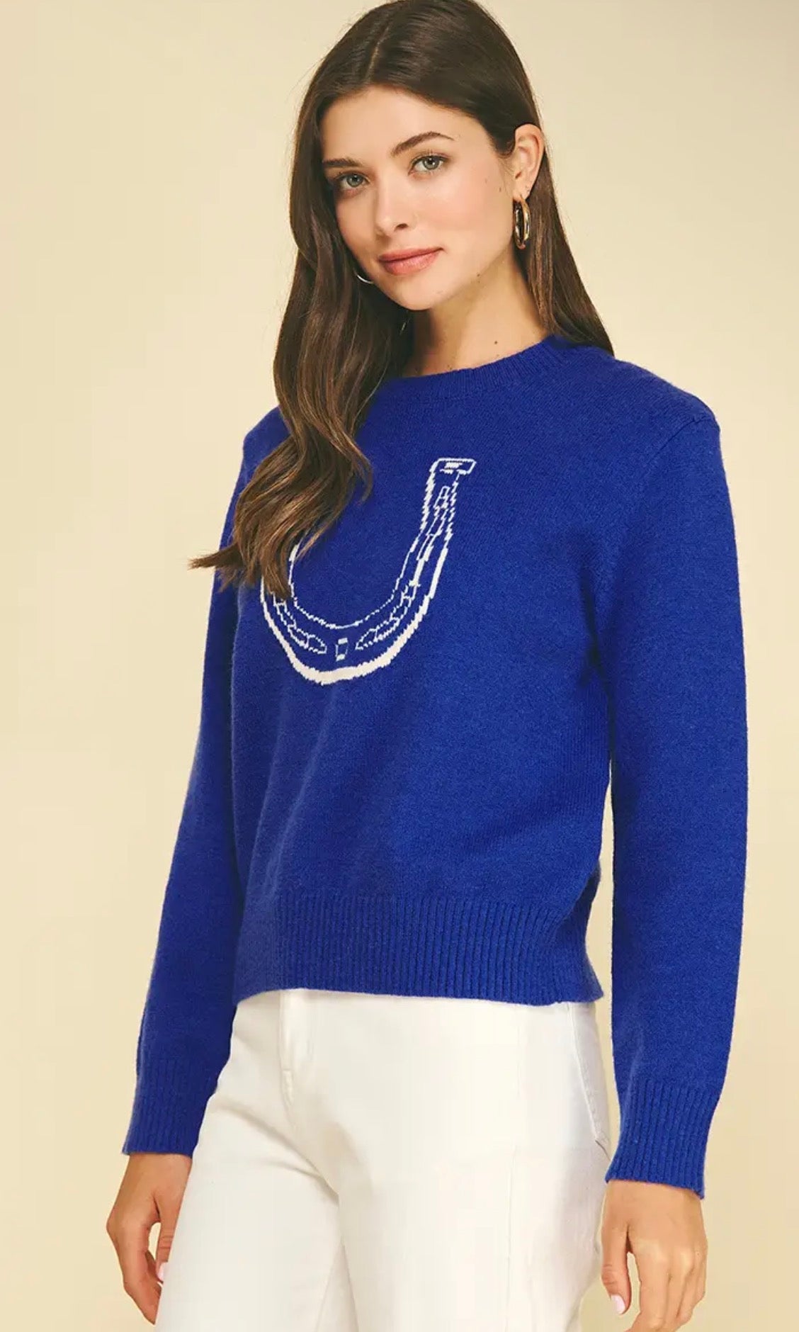 Horseshoe Sweater