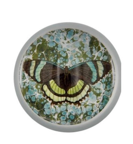 Decorative Paperweight
