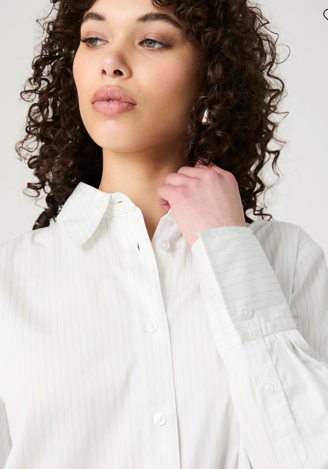 Pinstripe Poplin Button Down