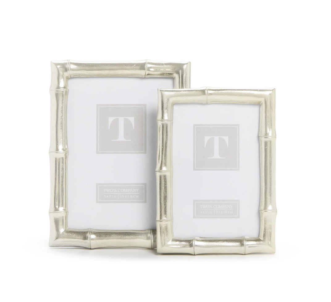 Silver Bamboo Picture Frame