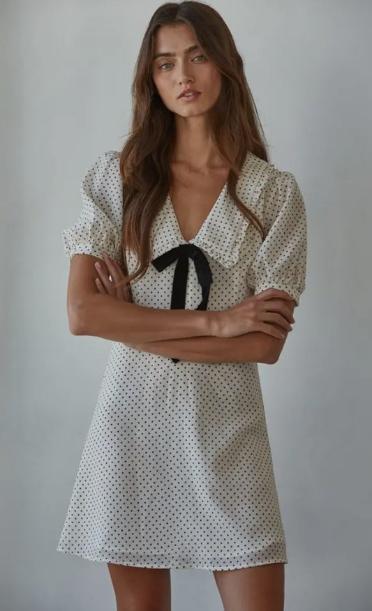 Swiss Dot Print Mini Dress