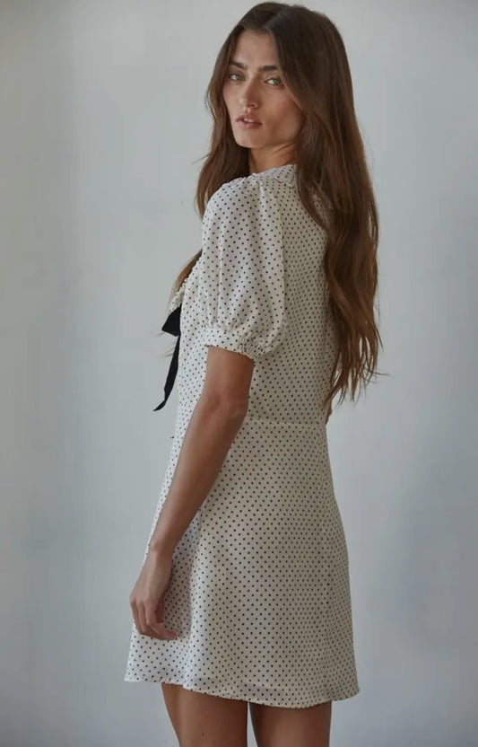 Swiss Dot Print Mini Dress