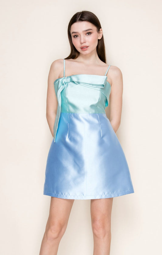 Two Tone Bow Dress