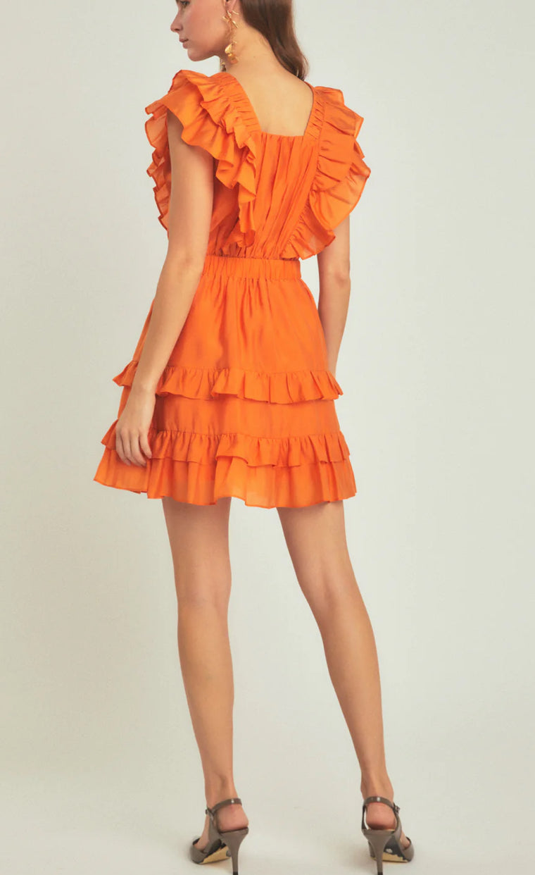 Ruffle Detail Mini Dress