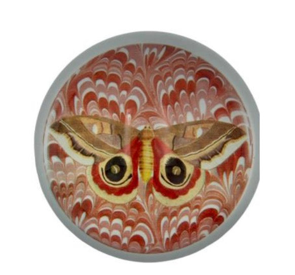 Decorative Paperweight