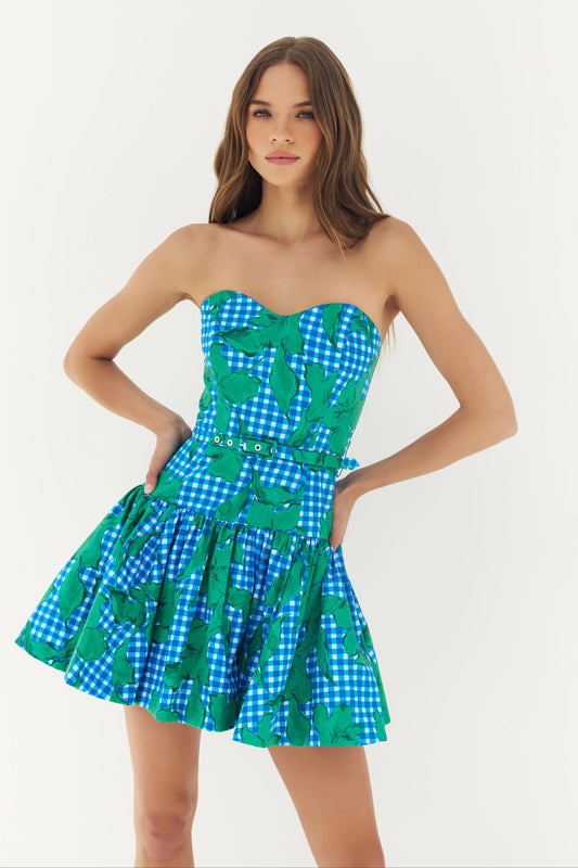 Junie Dress in Blue Gingham