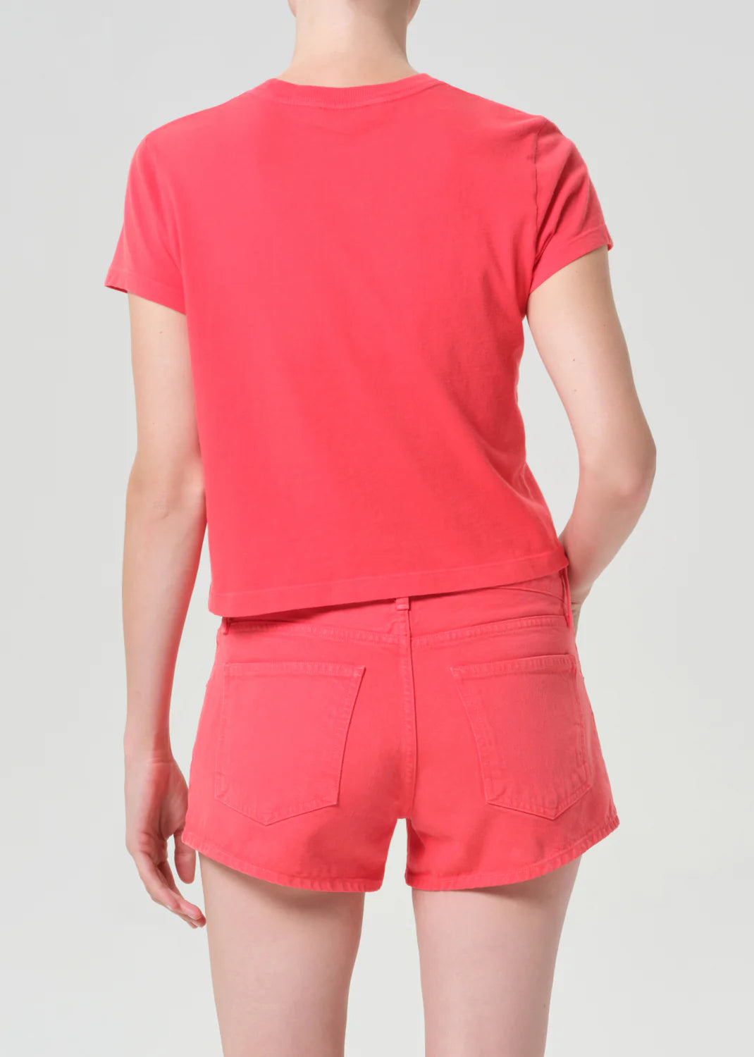 Adine Shrunken Tee-L