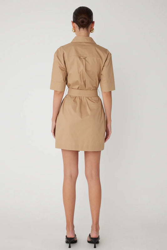 Larsen Mini Dress