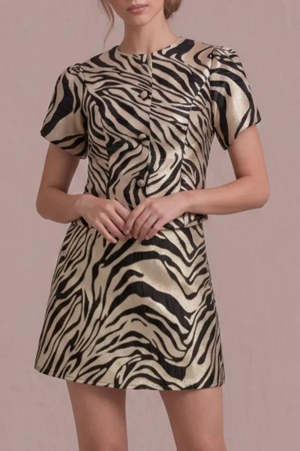 Zebra print matching top and skirt set 