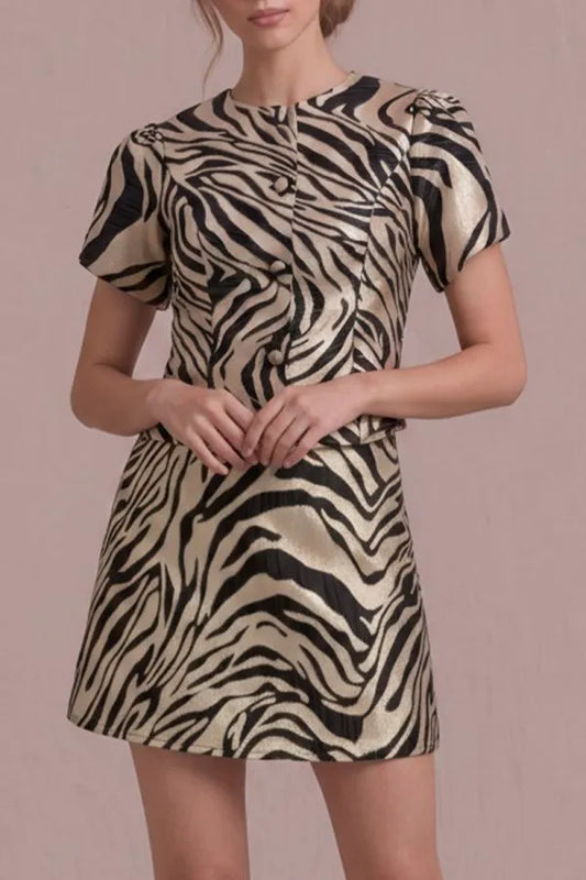 Zebra print matching top and skirt set 