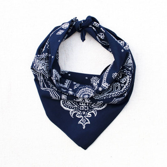 Navy Sketch Paisley Bandana