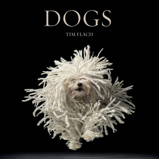 Dogs Coffee Table Book