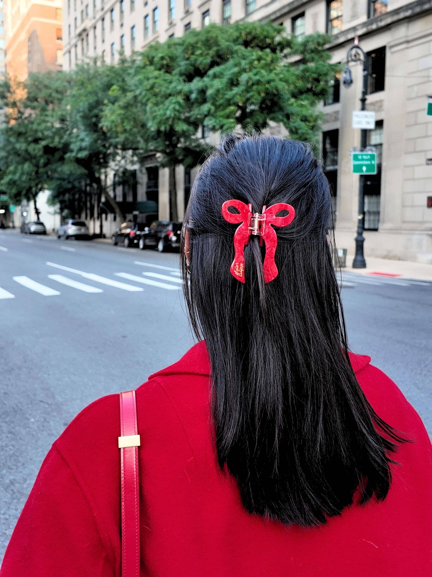 Hand-painted Coquette Bow Claw Hair Clip